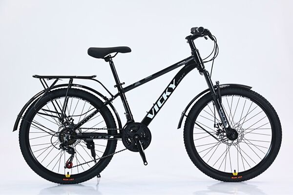 Xe đạp địa hình thể thao Vicky Crazy VC2200